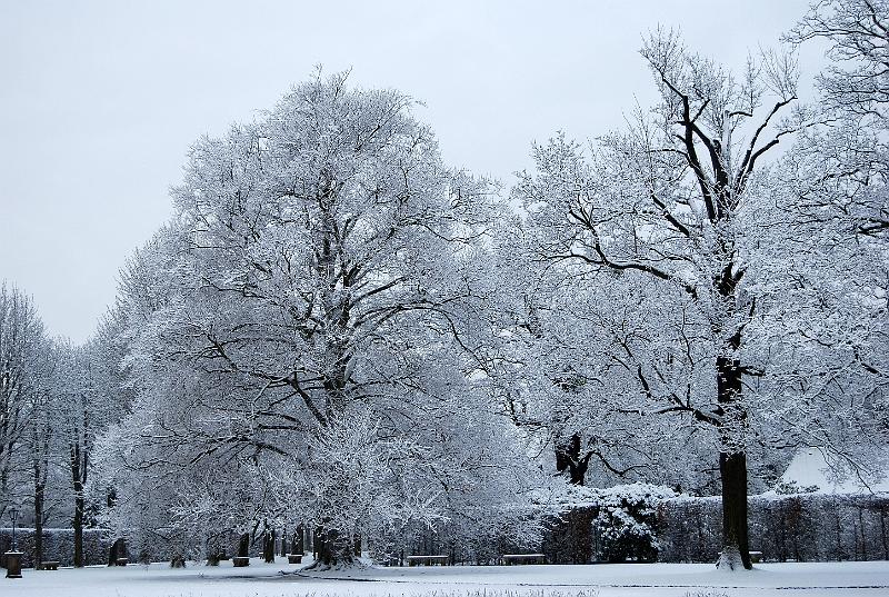 2011-01-24, Schnee (7).JPG